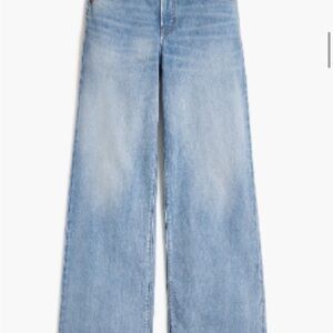 J. Crew Blue Flare Wide Leg Jeans